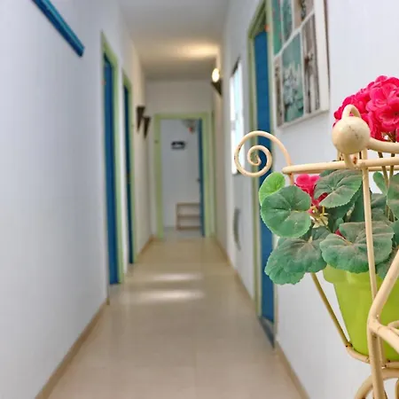Habitación Cañaveral Playa Conil Ii Pensión Conil De La Frontera
