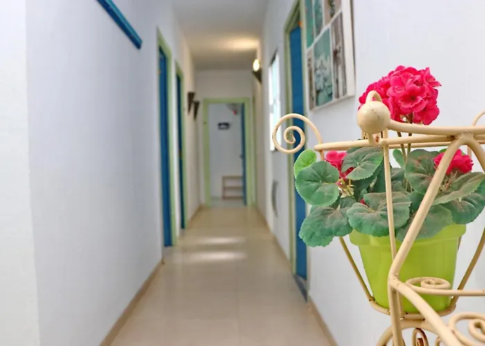 Canaveral Playa Conil Ii Maison d'hôtes Conil De La Frontera